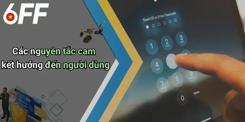 Các nguyên tắc cam kết hướng đến người dùng